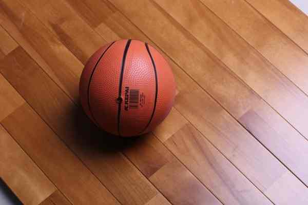 和龍運動木地板價格