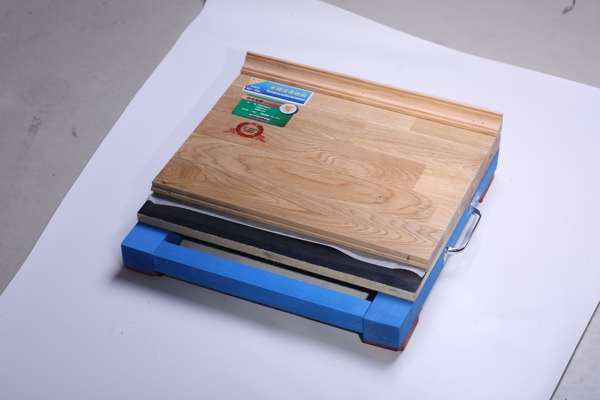 海寧運動木地板廠家