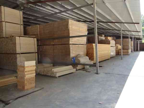 麻城運動木地板廠家